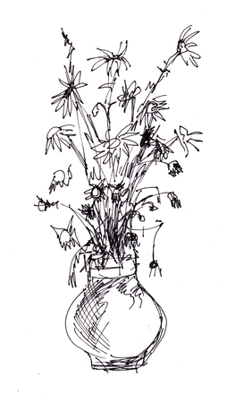 Instant sketch,  bunch of dry camomileの写真素材