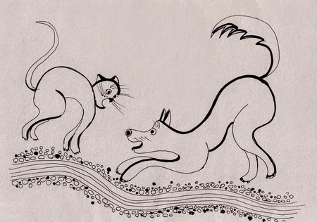 eternal battle cats and dogs on grey backgroundの写真素材