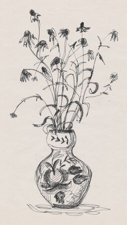 Bouquet of dry plants drawing by penの写真素材