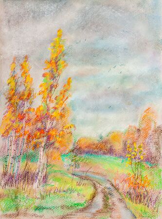 Birch trees near road in cloudy autumn dayの写真素材