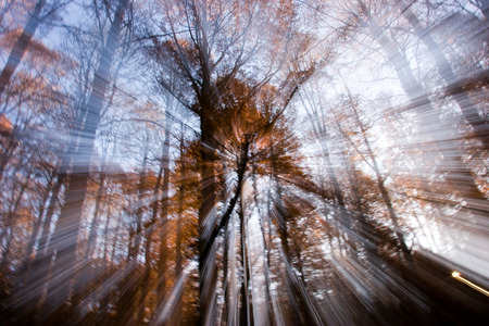 Autumn in the National Park of Abruzzo in Italyの写真素材