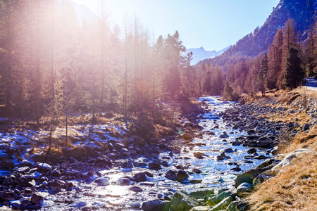 River Ova de Roseg Val Roseg in Switzerland