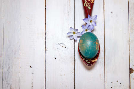 Delicate Spring Starflowers around a natural colored egg laid on a wooden spoon. Easter flatlay on a white shabby chic background.の写真素材