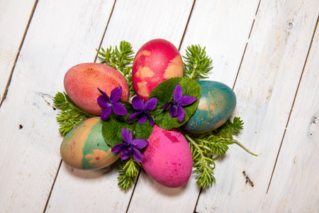 Easter composition. Natural colored eggs with delicate violets and small succulents on a white...