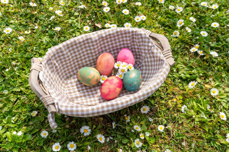 Easter treasure hunt concept. Colored eggs with daisies in a wicker basket. A meadow full of daisies...