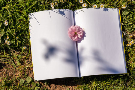 Springtime notebook. A pink cherry flower between the pages of an open notebook laid on the grass....