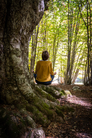 Yoga meditation in a beech wood. A young woman seated between the roots of an old beech tree is...