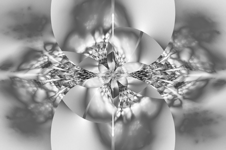 Abstract glowing monochrome flower on white background. Fantasy black and white fractal design for posters, wallpapers, postcards or t-shirts. Digital art. 3D rendering.の写真素材