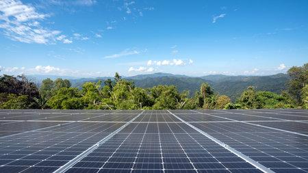 Photovoltaic solar panels get the summer sunlight for the electric power that is required in the...