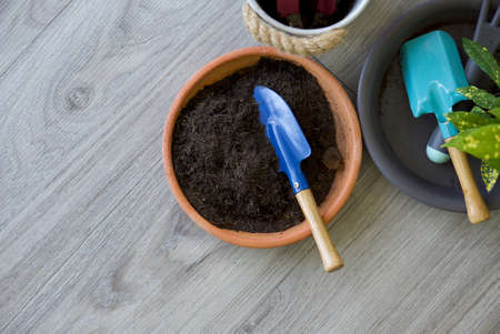 Blue gardening shovel in pot planters with soil and fertilizer on wooden floor. (Top View)の写真素材