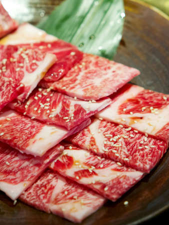 Honetsuki Karubi, Rib-on-bone It is the least fat red meat.の写真素材