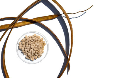 Cosmetic Chemical in chemical watch glass. Sumac Wax is a natural, vegetable wax, pale in colour, extracted from the berry kernels of several varieties of the Rhus Verniciflua tree.の写真素材