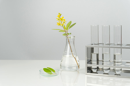 green leaves and flower with laboratory glassware and equipmentの写真素材