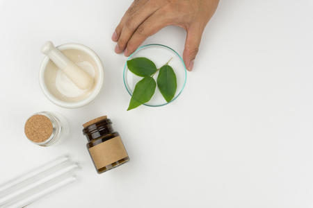 herbal medicine concept. Hand holding the watch glass with organic green leaves, a mortar and pestle, the bottles and test tubes on the white table in laboratory.の写真素材
