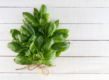 Fresh Basil Bouquet Tied With Twineの写真素材