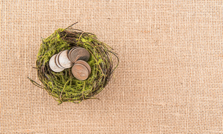 Nest Egg With Coinsの写真素材