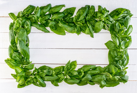 Fresh Basil Wreath on White Rustic Boardsの写真素材
