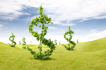 plant growing money dollarの写真素材