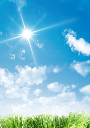 A beauty sky and grassの写真素材