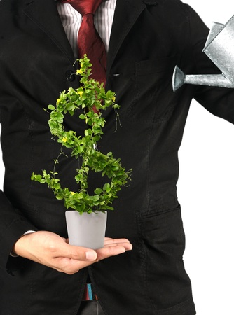 Businessman and  tree with US dollar isolatedの写真素材