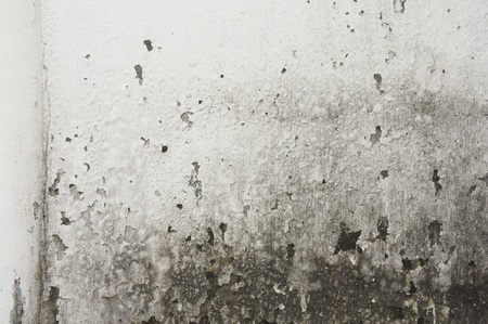 old wall texture           の写真素材
