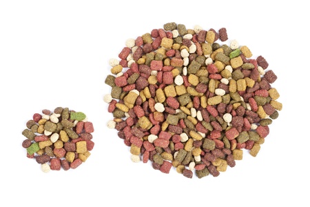 dog food bubble shape, on white background.
の写真素材