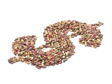 dog food us dollar shape, on white background.
の写真素材