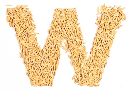 w, alphabet,Letter from Paddy rice on whiteの写真素材