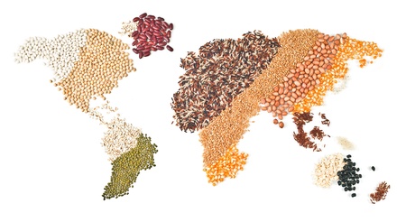 global foods on white background
の写真素材