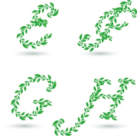 Vector set illustration a leaves letter on white のイラスト素材