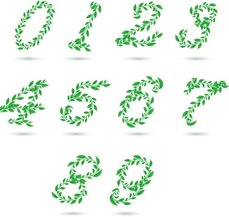 Vector set illustration a leaves number on white のイラスト素材