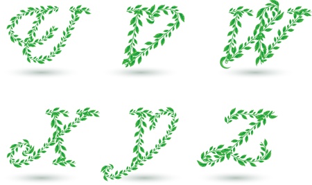 Vector set illustration a leaves letter on white のイラスト素材