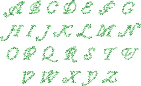Vector set illustration a leaves letter on white のイラスト素材