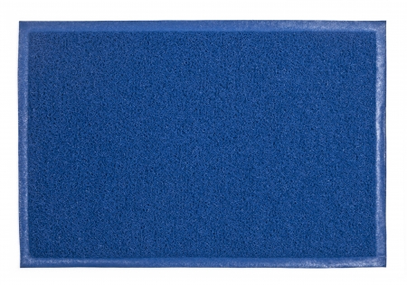 blue carpet isolated on whiteの写真素材