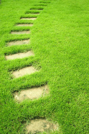a way curve garden stoneの写真素材
