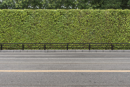 Roadside view and green grass backgroundの写真素材