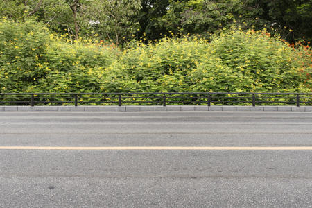 road garden backgroundの写真素材