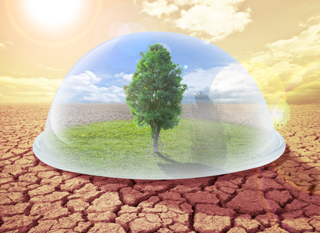 Symbol of environmental,  tree protection