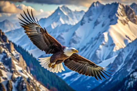 Majestic Bald Eagle Soaring Above Snowy Mountainsの素材