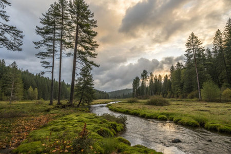 Serene river flowing through autumnal meadow under dramatic sky.の素材