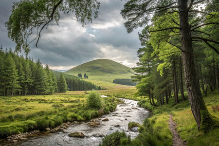 Serene stream flows through lush green valley, framed by trees under a dramatic sky.の素材