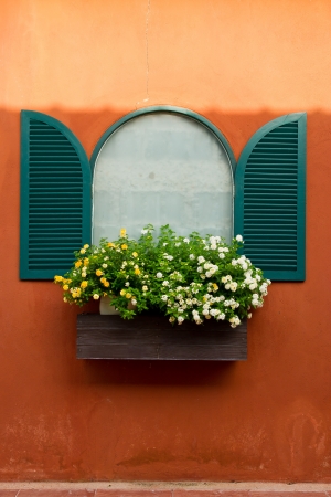 Window and flower boxの写真素材