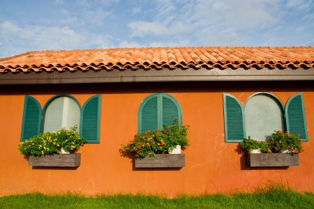 Window and flower boxの写真素材