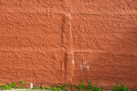 Green plant on brick wall の写真素材