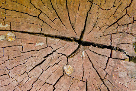 Texture of perspective Old wood floorの写真素材