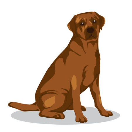 Vector clip art animal illustration. Dog vector illustration. Illustration of dog body position sittingのイラスト素材