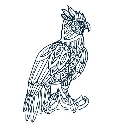 hand drawn eagle doodle vector illustrationのイラスト素材