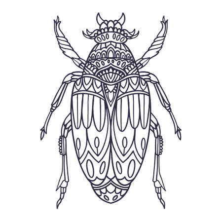 beetle hand drawn vector illustration with doodle styleのイラスト素材