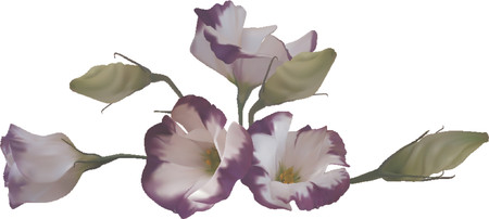 Beautiful Flower Design element. An illustration of a beautiful flower motif のイラスト素材