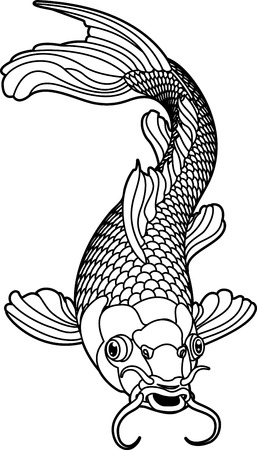 A beautiful koi carp fish illustration in monochrome. Symbol of love, friendship and prosperityのイラスト素材